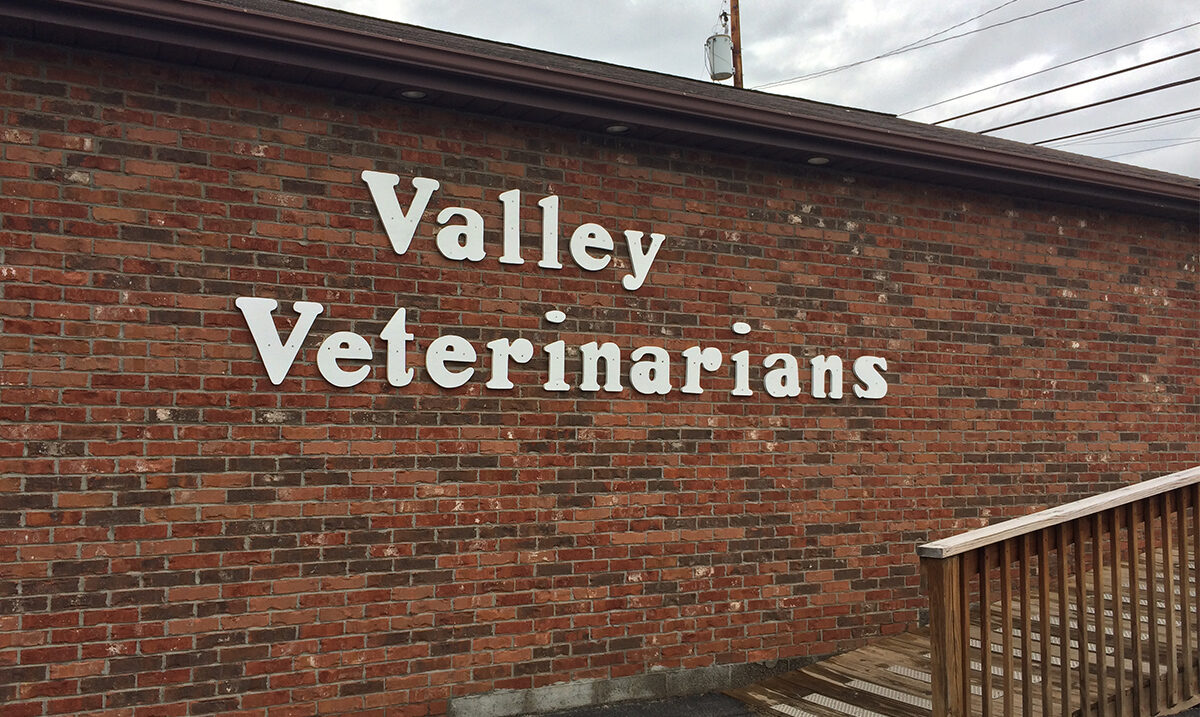 Valley Veterinarians Upgrade to Rayence Digital Xray