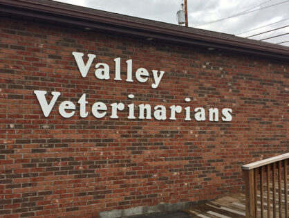 Valley Veterinarians Upgrade to Rayence Digital Xray